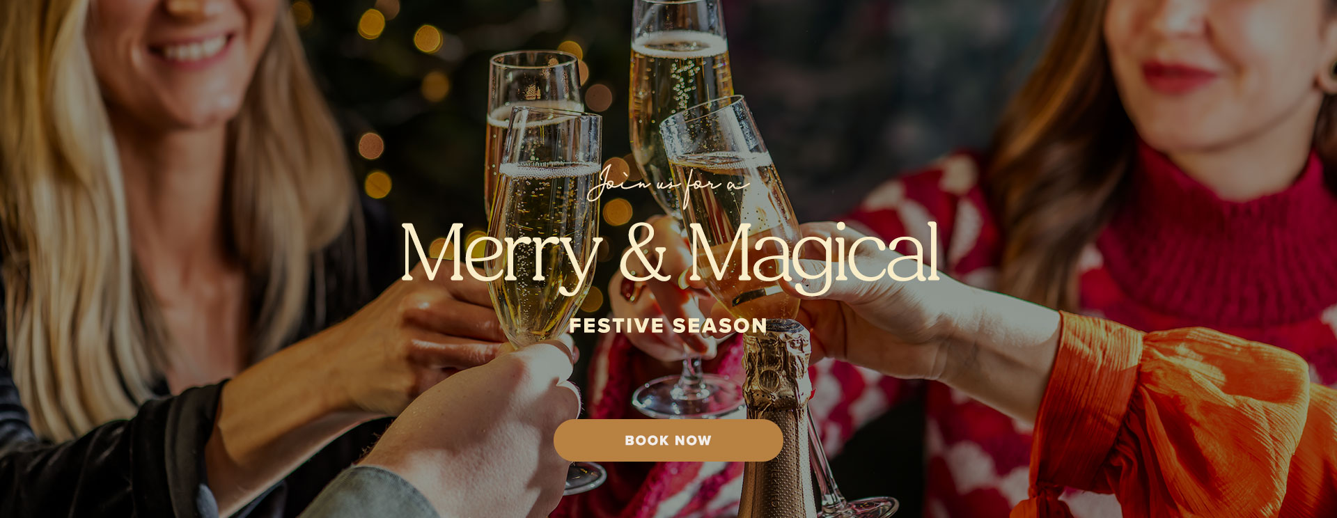 Christmas 2025 at Arkley